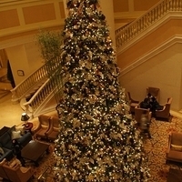 2011.12.20-fourseasons-005.JPG