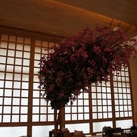 2011.12.20-Galaxy-007.JPG