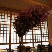 2011.12.20-Galaxy-008.JPG