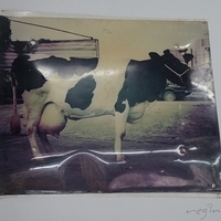 2011.12.20-snacks-007.JPG