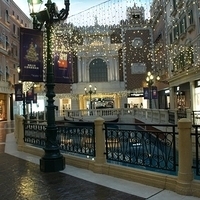 2011.12.20-Venetian-008.JPG