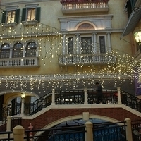 2011.12.20-Venetian-009.JPG