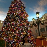 2011.12.21-Venetian-001.JPG