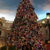 2011.12.21-Venetian-006.JPG