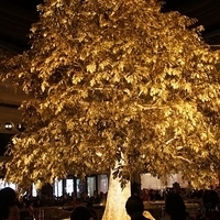 2011 Winter - Macau - Wynn Macau