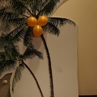 2011.06.03-party-009.JPG
