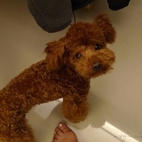 2011.04.28-002.JPG
