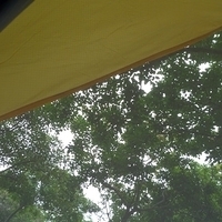 2011.09.19-005.JPG
