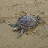 2011.09.19-013.JPG