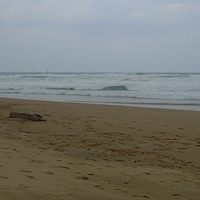 2011.09.20-005.JPG