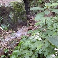 2011.06.10-fieldtrip-008.JPG