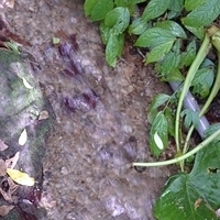 2011.06.10-fieldtrip-009.JPG