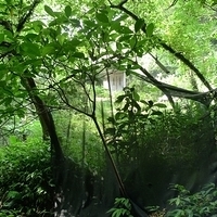 2011.06.10-fieldtrip-012.JPG