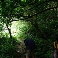 2011.06.10-fieldtrip-013.JPG