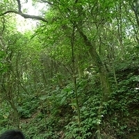 2011.06.10-fieldtrip-014.JPG