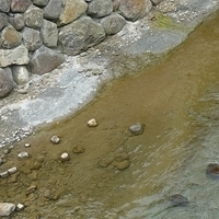 2011.06.10-fieldtrip-020.JPG
