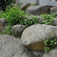 2011.06.10-fieldtrip-022.JPG