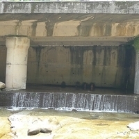 2011.06.10-fieldtrip-025.JPG