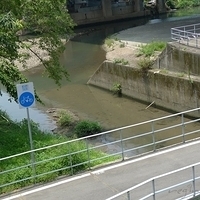 2011.06.10-fieldtrip-030.JPG