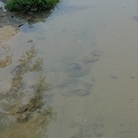 2011.06.10-fieldtrip-033.JPG