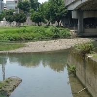 2011.06.10-fieldtrip-034.JPG