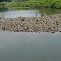 2011.06.10-fieldtrip-035.JPG