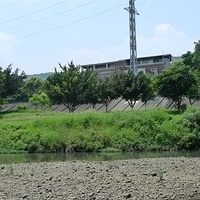 2011.06.10-fieldtrip-036.JPG