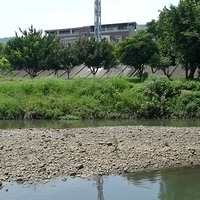 2011.06.10-fieldtrip-039.JPG