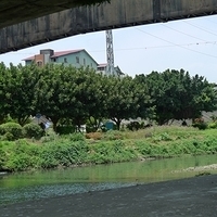2011.06.10-fieldtrip-041.JPG