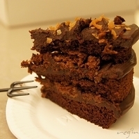2011.11.15-012.JPG
