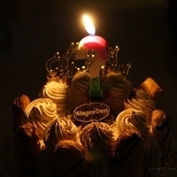 2011.11.22-003.JPG