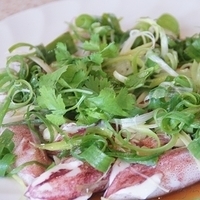 2011.05.05-023.JPG
