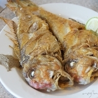 2011.05.05-025.JPG