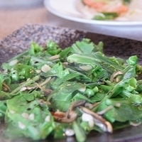 2011.05.05-028.JPG