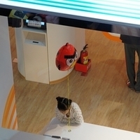 2011.10.29-008.JPG