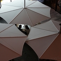 2011.10.29-074.JPG