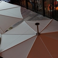 2011.10.29-075.JPG
