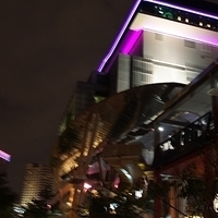 2011.10.29-138.JPG