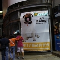 2011.10.29-141.JPG