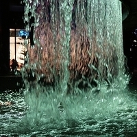 2011.10.29-153.JPG