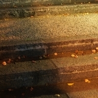 2011.10.29-222.JPG