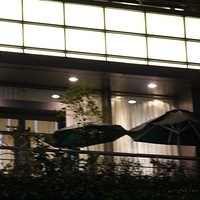 2011.10.29-243.JPG