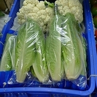 2011.10.11-004.JPG