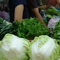 2011.10.11-006.JPG