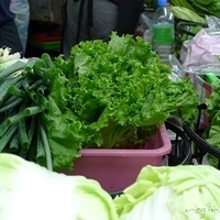 2011.10.11-007.JPG