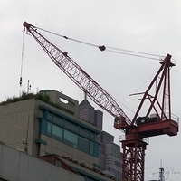 2011.06.12-022.JPG