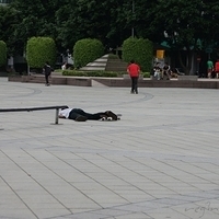 2011.06.12-050.JPG