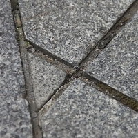 2011.06.12-058.JPG