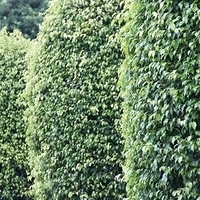 2011.06.12-060.JPG