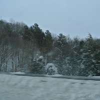 2011.01.12-006.JPG